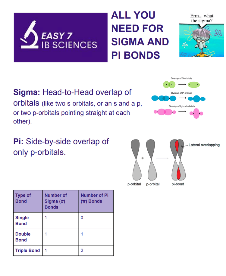 Crash course dashboard preview